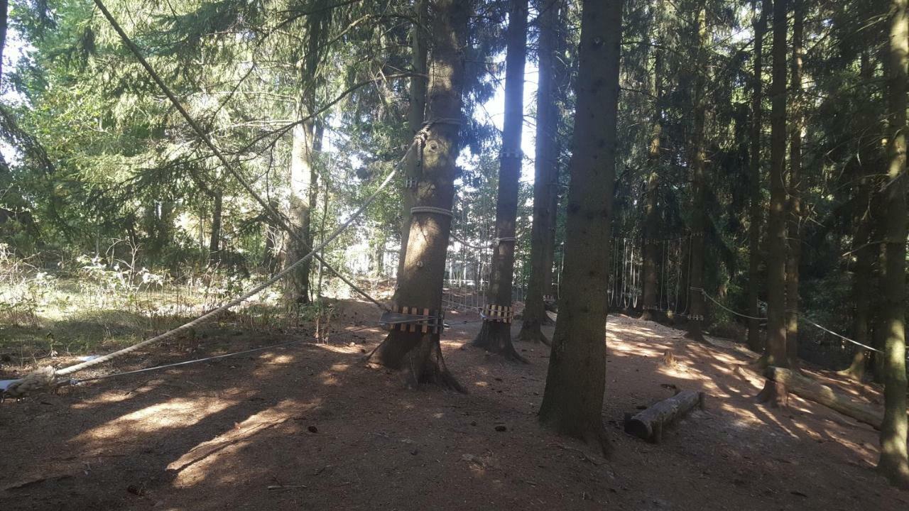 Hahnenklee Ferienpark 1-411 Goslar Eksteriør billede
