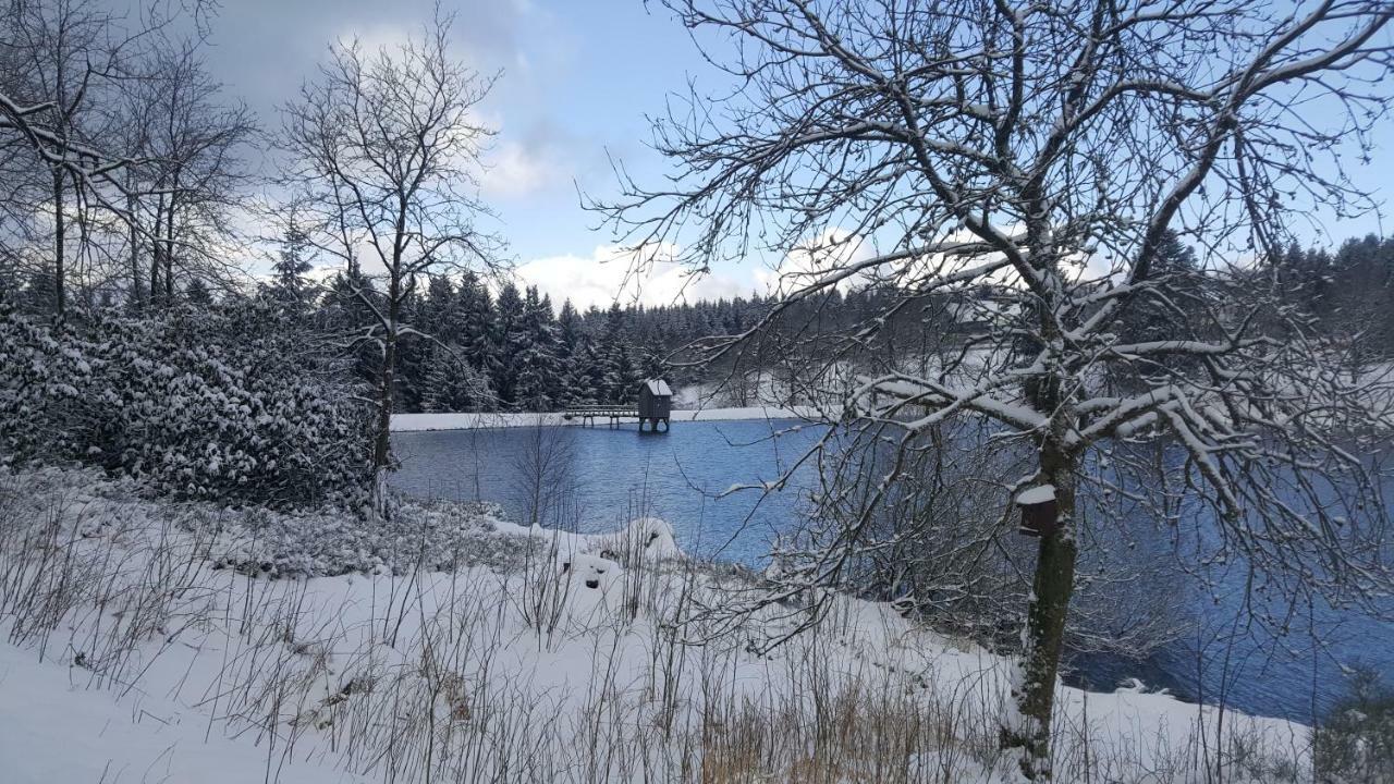 Hahnenklee Ferienpark 1-411 Goslar Eksteriør billede